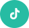 TikTok Icon